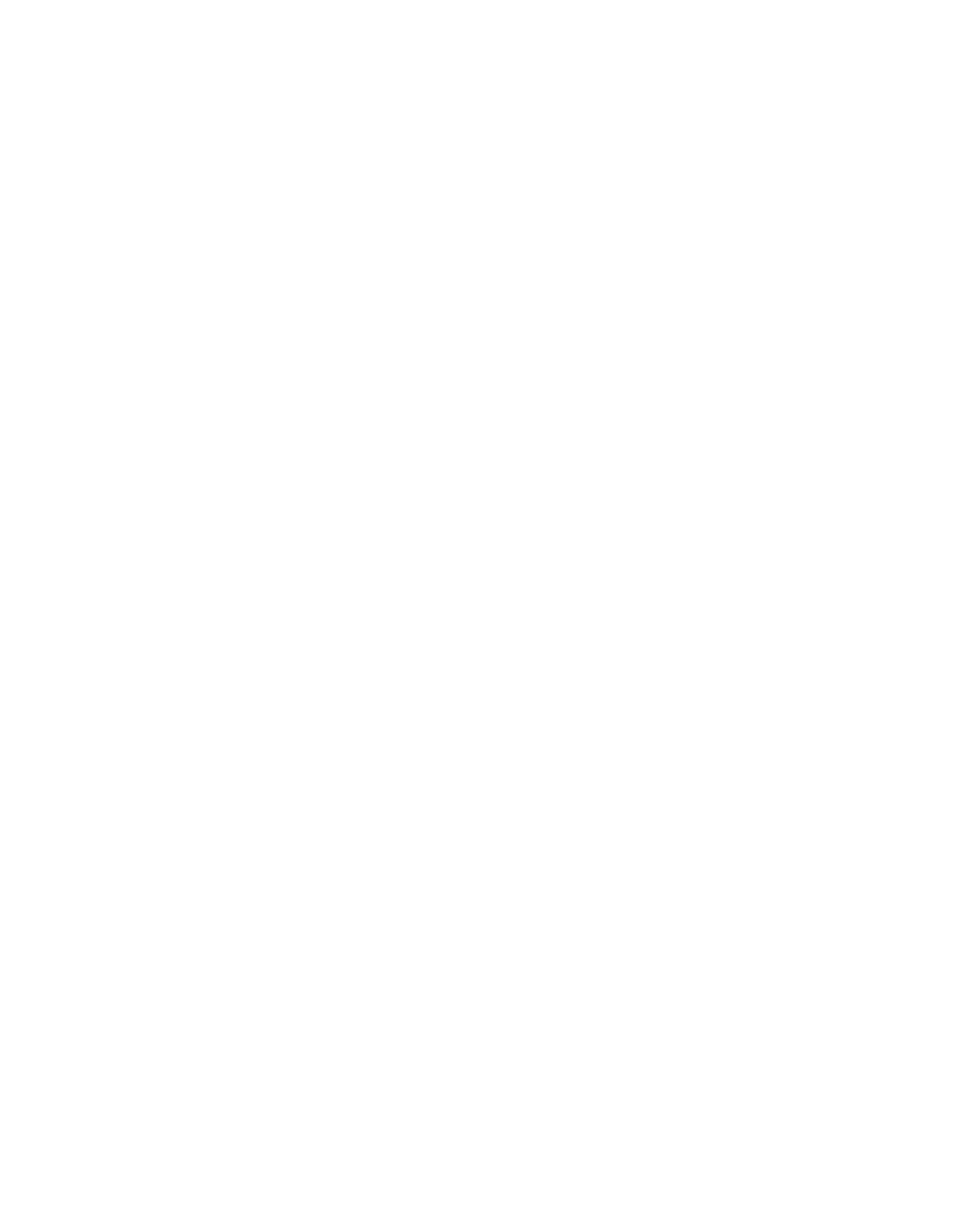 Partner Developer 1